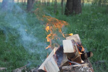 Ormanda yanan kamp ateşi görünür alevler ve bir orman açıklığında duman ile kamp ateşi. Doğal ortamda kamp, macera ve hayatta kalma kavramı.