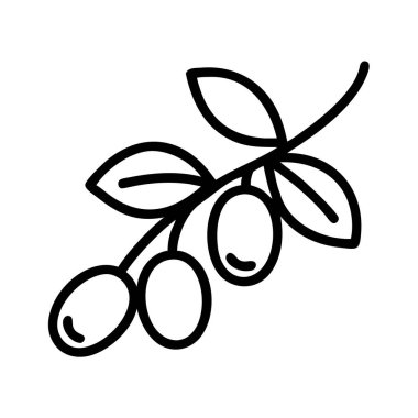 Üç meyve ve yapraklı zeytin dalı