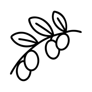 Zeytin dalı ve meyvenin basit çizimi