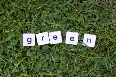 Tahta harflerden yapılmış yeşil alfabe.