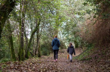 Anne ve oğlu ormanda yürüyüş yapıyor.