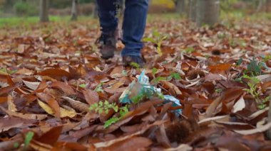 Adam sonbahar parkında yürürken plastik çöp topluyor.