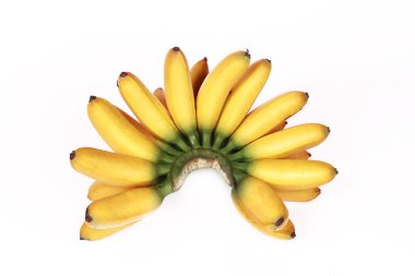 Sarı yumurta-muz araması olarak 