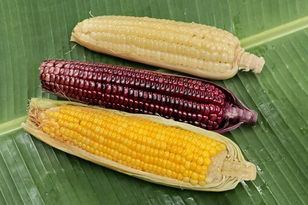 Colorful streamed sweet corn ready served as Thai local corn in light yellow,sunshine sweet corn in bright yellow and sticky corn in purple seed on banana leaf. Top view.