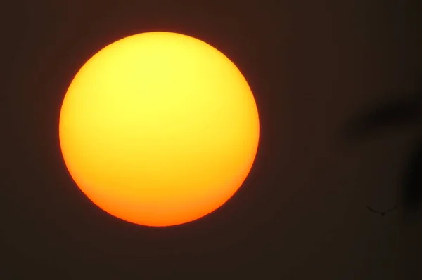 Die Schöne Große Goldene Sonne Abend Vor Dunklem Hintergrund — Stockfoto