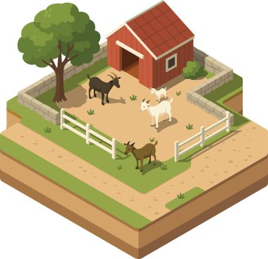 Çitleri ve ahırı olan Isome keçi çiftliği