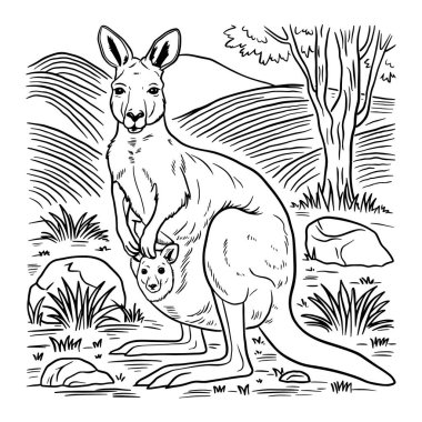 Güzel kanguru boyama sayfası, anne ve bebek Joey 'nin doğal ortamda yer aldığı Avustralya hayvanlarını öğrenen çocuklar için mükemmel vektör sanatı. Boyama kitapları, malzeme posterleri ve basılabilir yaban hayatı etkinlikleri için eğitici çizimler.