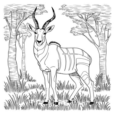 Çizgili vücut ve orman arka planına sahip siyah beyaz çizgi sanatında zarif bir antilop vektör çizimi. Vahşi yaşam boyama sayfaları, safari sanatı, posterler, eğitim malzemeleri ve dijital indirmeler için mükemmel. Doğa aşıkları ve hayvanlar için harika. 