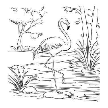 Siyah beyaz çizgili güzel flamingo vektör çizimi, gölcükler ve ağaçların arka planında. Vahşi yaşam boyama sayfaları, eğitim sanatı, posterler, tişörtler ve dijital indirmeler için mükemmel. Doğa aşıkları, kuş hayranları ve yaratıcı çocuklar için harika.