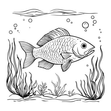 Deniz yosunu ve baloncuklarla dolu sualtı sahnesinde yüzen ayrıntılı balık ana hatlı taşıyıcı. Gömlek tasarımları, boyama sayfaları, deniz çizimleri ve dekoratif su sanatı için mükemmel. Yaratıcı projeler, logolar ve okyanus teması için basit çizgi çizimi ideal