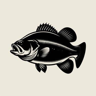 Dinamik levrek balık vektör çizimi, büyük bir balığın kalın çizgili sanat tarzında yem yakaladığını gösteriyor. Balıkçılık temalı tişört baskıları, logolar, dövme tasarımları ve açık hava sporları için mükemmel. Yaratıcı projeler için siyah ve beyaz vektör çizimi ideal,