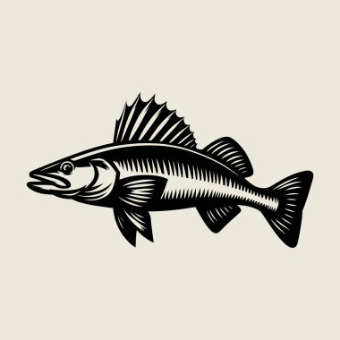 Keskin yüzgeçleri ve keskin dişleri kalın çizgi sanatında gösteren ayrıntılı turna balığı ana hatlı vektör çizimi. Gömlek tasarımı, balıkçı logosu, spor amblemleri ve vahşi yaşam sanatı için mükemmel. Tatlı su yırtıcısı, su projeleri, doğa baskıları ve vinta için ideal.
