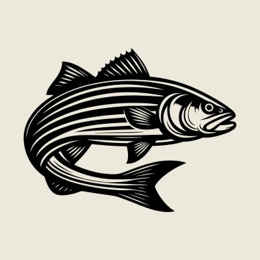 Keskin yüzgeçleri ve keskin dişleri kalın çizgi sanatında gösteren ayrıntılı turna balığı ana hatlı vektör çizimi. Gömlek tasarımı, balıkçı logosu, spor amblemleri ve vahşi yaşam sanatı için mükemmel. Tatlı su yırtıcısı, su projeleri, doğa baskıları ve vinta için ideal.