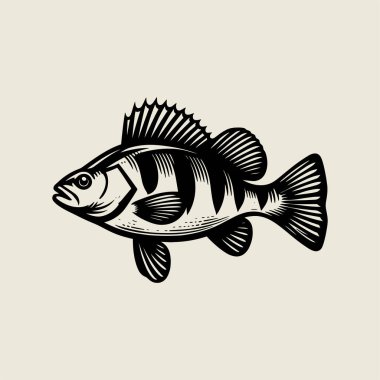 Balık, yengeç, ıstakoz, karides ve kabuklu deniz ürünleri içeren zarif deniz ürünleri koleksiyonu. Restoran markalaşması, deniz ürünleri menüsü tasarımları, ambalaj grafikleri, dijital indirmeler veya yaratıcı deniz sanatları ve okyanus projeleri için mükemmel. 