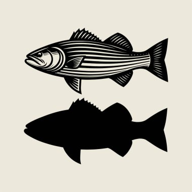 Ayrıntılı yayın balığı vektör illüstrasyonunu kalın çizgili sanat detaylarıyla klasik siyah beyaz tarzıyla. Balıkçılık temalı tişört baskıları, dövme tasarımları, açık hava spor logoları ve deniz sanatları için mükemmel. Yaratıcı projeler için yüksek kaliteli vektör ideali, dekName