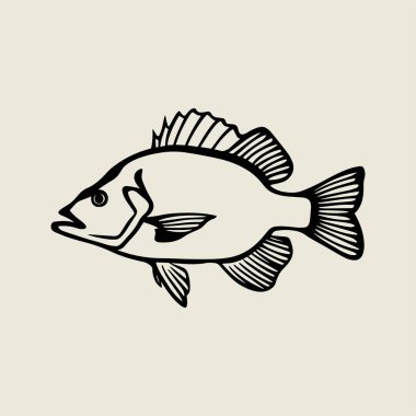 Kalın siyah beyaz çizgili levrek balık vektör çizimi. Tişört baskıları, dövme sanatı, balıkçılık logoları ve açık hava markalaşma projeleri için mükemmel. Yaratıcı el sanatları, çıkartmalar için yüksek kalite vektör çizimi ideali