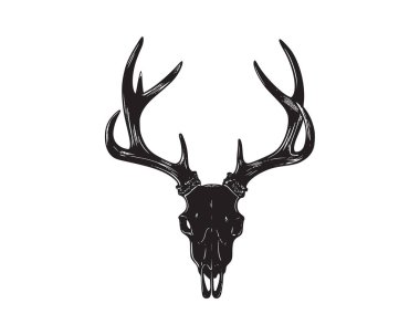 Ayrıntılı geyik kafatası vektör illüstrasyonu. Büyük boynuzları elde çizilmiş sanat tarzı. Gömlek tasarımı, av logoları, vahşi yaşam sanatı ve açık hava temalı projeler için mükemmel. Koyu monokrom çizimler, rustik baskılar, doğa grafikleri ve maceralar için idealdir