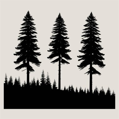 Doğal orman sahnesinde üç ağaçlı siyah ve beyaz çam ağacı silueti. Açık hava logoları için mükemmel. Tişört baskıları, doğa posterleri ve manzara tasarımları dijital sanat minimalist dekoru ve macera temalı grafikler için mükemmel kalite tasarımlar.