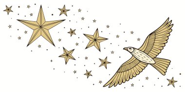 Yıldızlar ve kuşlarla el çizimi. Beyaz arkaplanda izole edilmiş vektör.