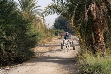 Luxor, Mısır 7 Ocak 2026.