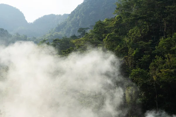Yoğun beyaz duman yükselir ve dik bir tropik orman dağ yamacının önünü kaplar..