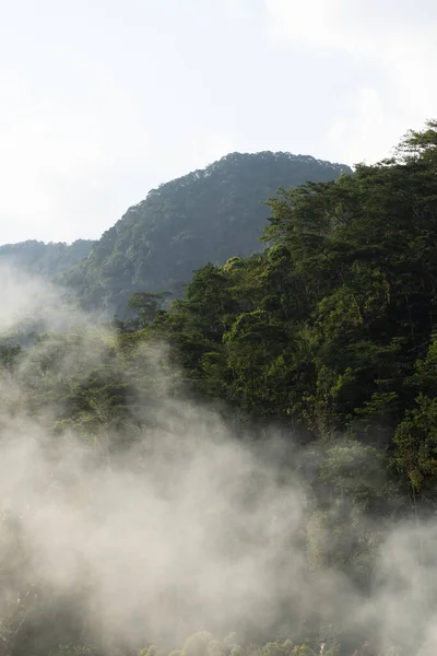 Beyaz sis, dik bir dağ zirvesinin tabanını parlak bir gökyüzünün altında dikey bir bileşimle örtüyor..