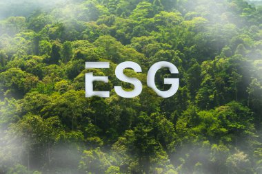 Büyük beyaz ESG harfleri yoğun ormanın üzerinde duruyor. Çevresel sosyal yönetim yatırımını sembolize ediyor..