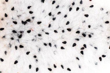 Beyaz ejderha meyve etinden yapılan aşırı yakın çekim çok sayıda siyah tohumu ayrıntılı bir doku arka planı olarak gösteriyor.