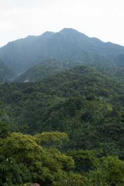 Bereketli yeşil orman bulutlu parlak gökyüzünün altında tropikal dağları kaplar.