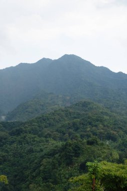 Yoğun tropikal yeşil ormanın üzerinde yoğun sisli dağ zirvesi duruyor.