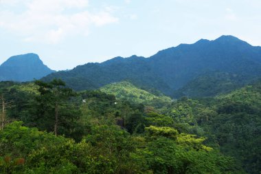 Bereketli yeşil tropikal orman güzel yamaçlı dağ tepelerini kaplar.