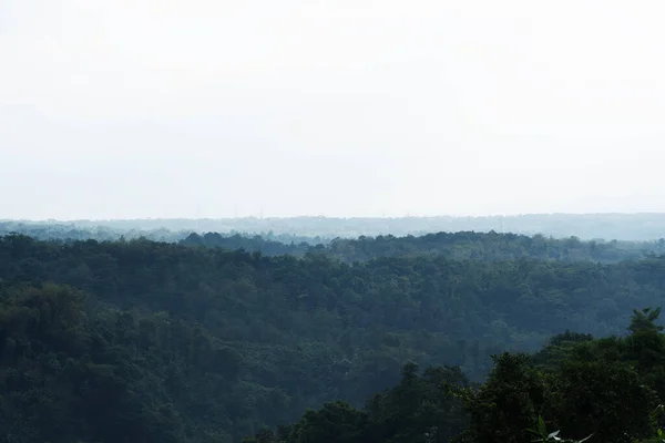 Düşük ufuk, sisli, yoğun tropikal ormanı gösteriyor.