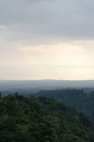 Güneş ışığı, engin yeşil orman tepelerinin üzerinde solgun gökyüzünü aydınlatır.