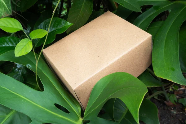 Yeşil Yapraklarla çevrili kahverengi karton kutu