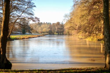 Parlak bir gölet, çıplak kış ağaçları ve sakin kırsal manzarayla çevrili güneş ışığını yansıtır.. 