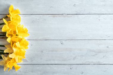 Ahşap arka planda sarı nergisli çiçek kompozisyonu. Metin için fotokopi alanı olan temiz yay dairesi. Yüksek kalite fotoğraf