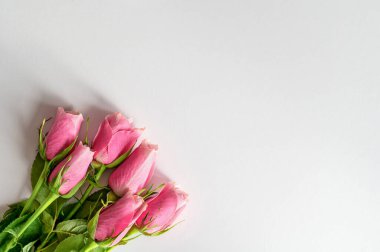Fotokopi alanı olan beyaz bir arkaplana yerleştirilmiş taze pembe güller. Sevgililer Günü için çiçek romantik konsept, Anneler Günü, doğum günü kutlamaları, güzellik markalaşması ve yaşam tarzı pazarlaması. Yüksek kalite fotoğraf