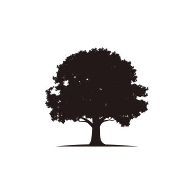 meşe ağacı logosu, bitki logosu