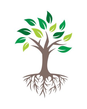 Yaşam ağacı logosu, doğa logosu vektörü