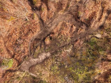 Bidston Tepesi 'nin havadan görünüşü karışık çim, orman ve doğal zemin arazilerini gösteriyor..