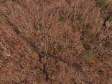 Bidston Tepesi 'nin insansız hava aracı görüntüsü..