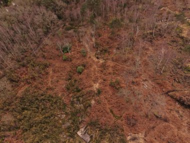 Bidston Tepesi 'nin hava görüntüsü aralarında doğal patika gruplarının dolaştığını gösteriyor..