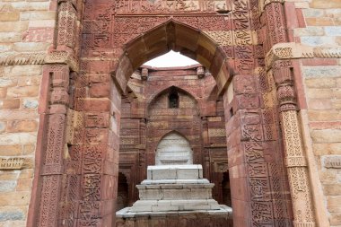 Zoolojik karmaşık bulunan Iltutmish Türbesi