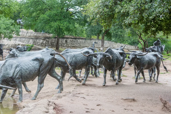 Escultura de ganado en Dallas — Foto de Stock