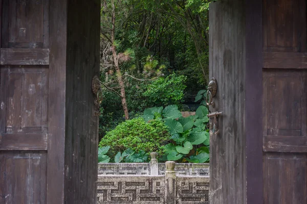 Old wooden door opened and the inside tropical garden