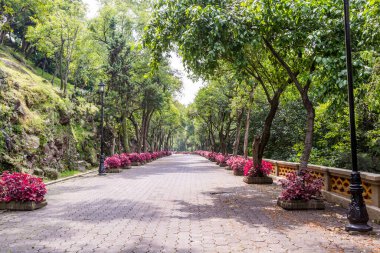 Foot path to the Chapultepec Castle.  Located on top of Chapultepec Hill in the Chapultepec park in the downtown of Mexico City. clipart