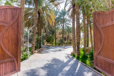 Diraiyah Harabeleri 'ndeki parkta yetişen yeşil hurma ağaçları, Suudi Arabistan' ın Riyad kentindeki Dereyeh ve Dariyya gibi.