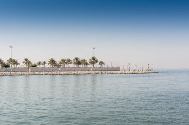 Dammam, Suudi Arabistan 'daki Corniche parkında mavi deniz ve yeşil hurma ağaçları