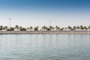 Dammam, Suudi Arabistan 'daki Corniche parkında mavi deniz ve yeşil hurma ağaçları