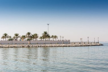 Dammam, Suudi Arabistan 'daki Corniche parkında mavi deniz ve yeşil hurma ağaçları